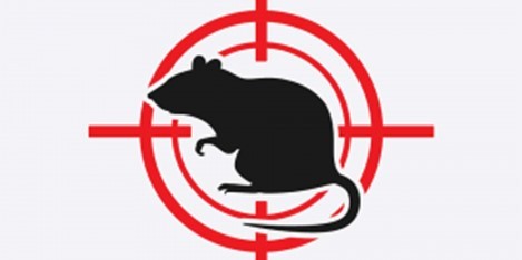 Логотип STOPШКІДНИК